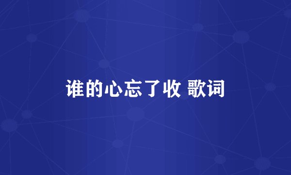 谁的心忘了收 歌词