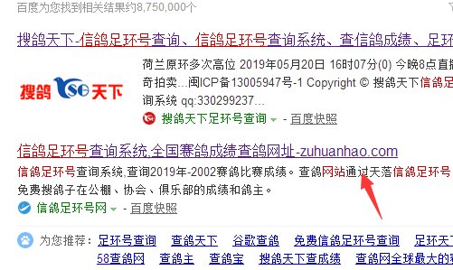 鸽子脚环怎么查