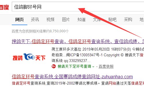 鸽子脚环怎么查