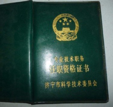 什么叫副高级以上专业技术职务？