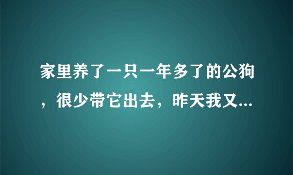 家里养了一只一年多了的公狗，很少带它出去，昨天我又领了一只跟公狗差不多大的母狗回来了。回来以后母狗