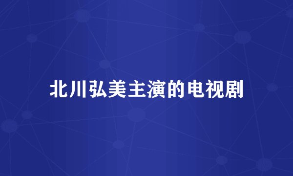 北川弘美主演的电视剧