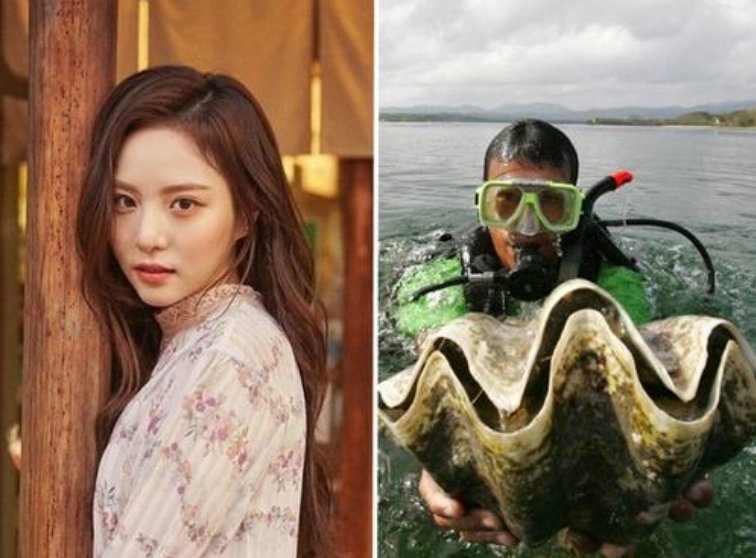 韩国女星李烈音因参加真人秀节目,将面临五年牢狱之灾,是什么原因呢?