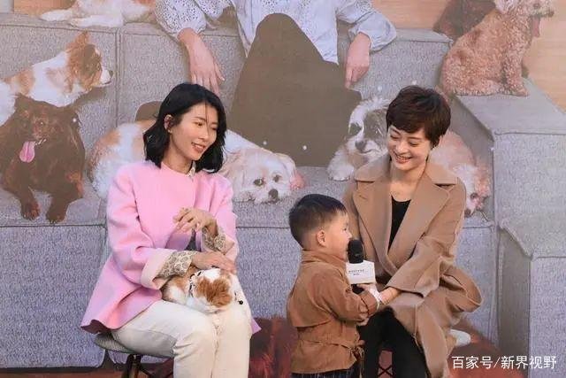 恩将仇报的向海清说：孙俪养我四年，可我想毁了她，如今他现状如何？