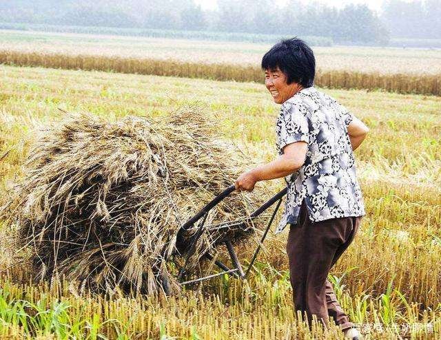 魏振芳捡到“常林”钻石后上交国家,她如今生活啥样?