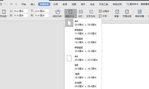 计算机二级Ms Office 2010纸张让调大小B5,我的电脑上没有这个选项