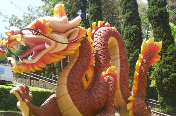 06年真龙吃人的照片在网络上流传的沸沸扬扬,真的有龙吗?