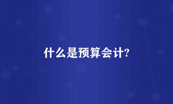 什么是预算会计?