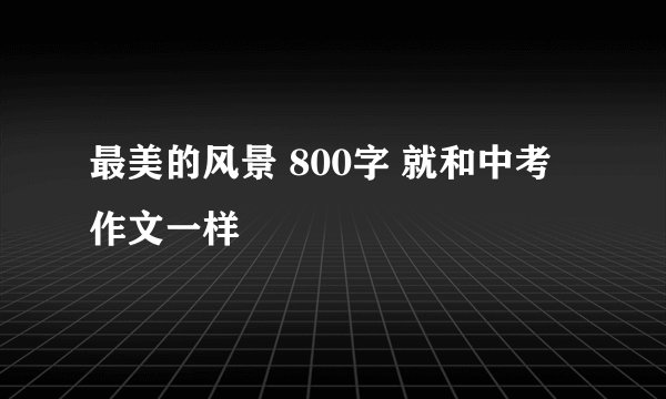 最美的风景 800字 就和中考作文一样