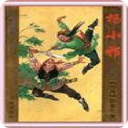 奇侠杨小邪的介绍