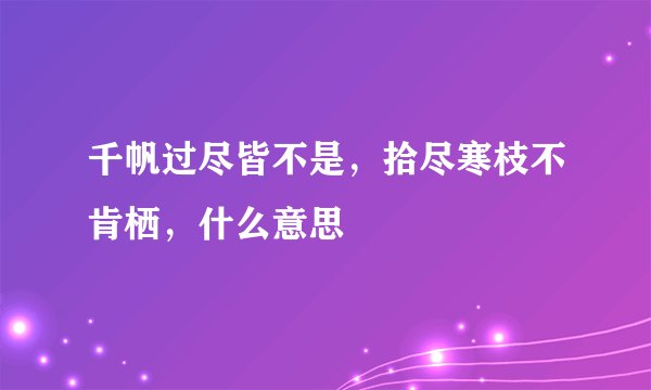 千帆过尽皆不是，拾尽寒枝不肯栖，什么意思
