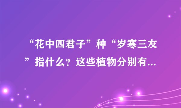 “花中四君子”种“岁寒三友”指什么？这些植物分别有什么寓意，什么样的品格？