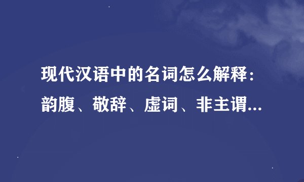 现代汉语中的名词怎么解释：韵腹、敬辞、虚词、非主谓句、记号