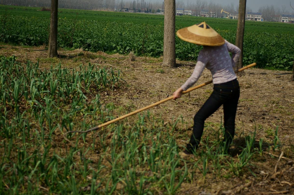 锄禾日当午什么意思