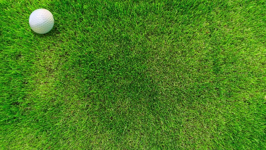 狗牙根的品种和类型有哪些？