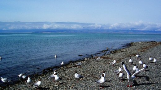 去青海湖旅游什么时候去最好？