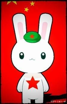 生肖兔与什么生肖最配对？什么生肖最旺兔？