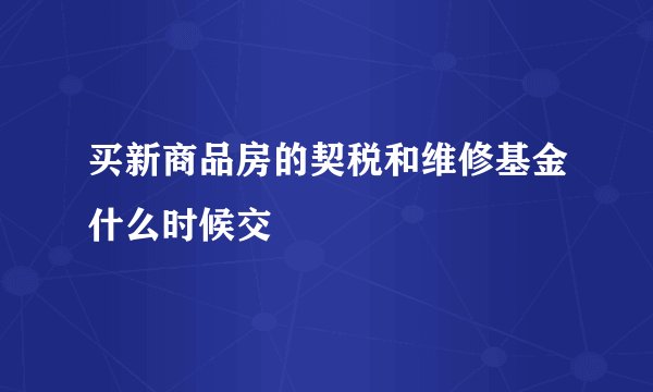 买新商品房的契税和维修基金什么时候交