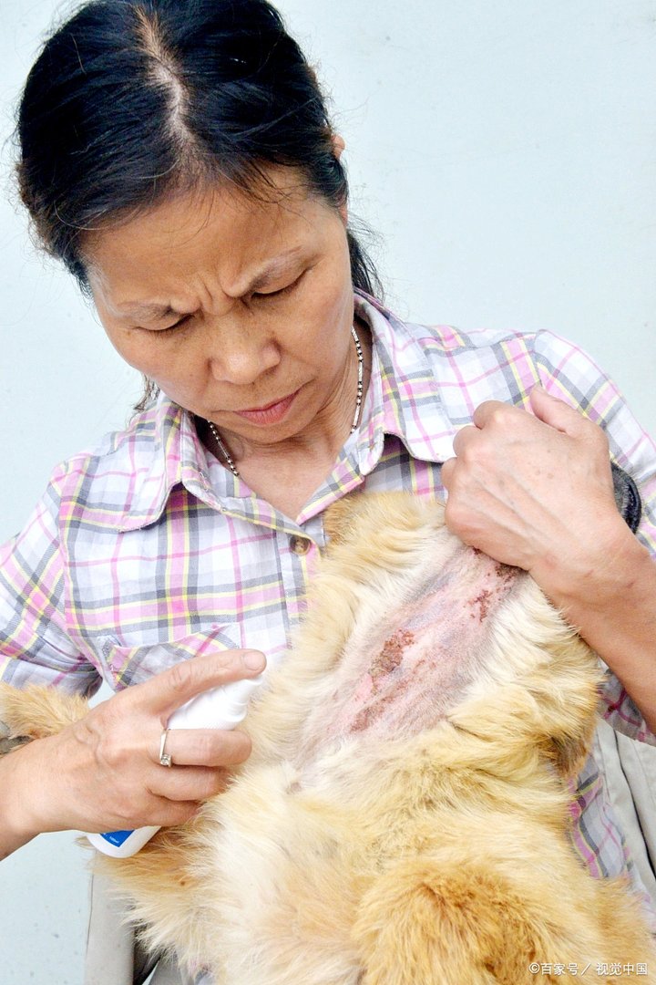 股藓会自己好么！！！