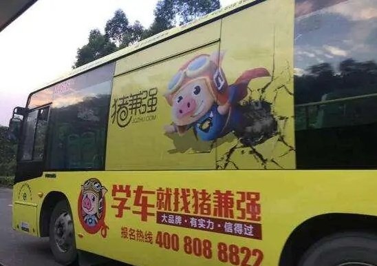 猪兼强驾校破产待退学费2亿，为何有名却破产？