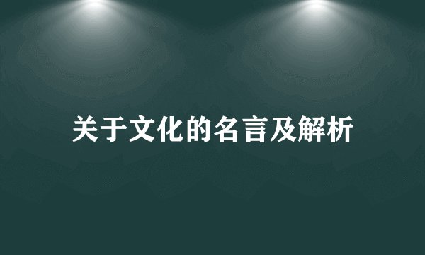 关于文化的名言及解析