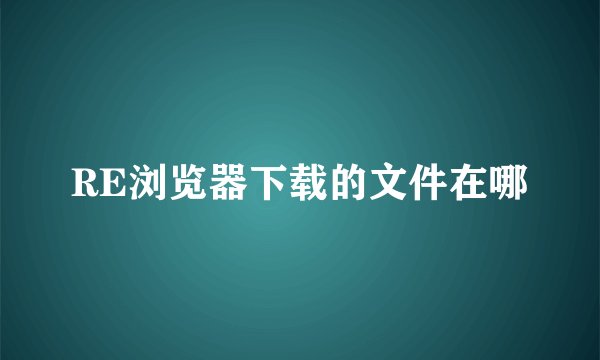 RE浏览器下载的文件在哪