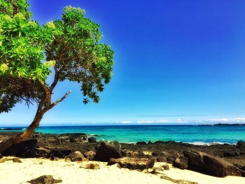 简评最佳影星人设？