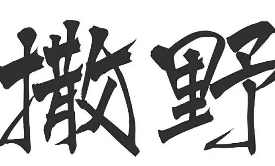撒野顾飞和蒋丞最开始交换的秘密是什么？