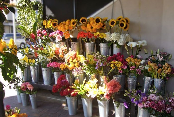 女人怎么赚钱？