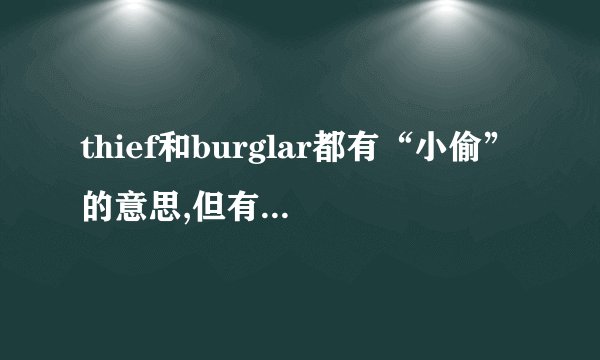 thief和burglar都有“小偷”的意思,但有具体的用法上有区别吗?