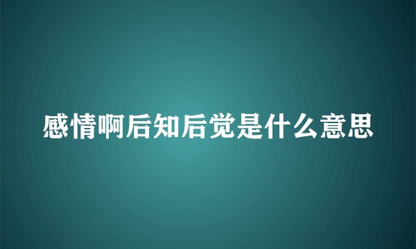 感情啊后知后觉是什么意思