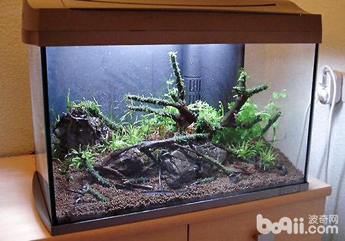 客厅鱼缸摆放位置