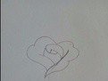 如何画玫瑰花 玫瑰花简笔画步骤图