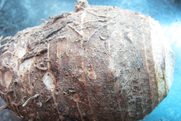 香芋怎么做好吃