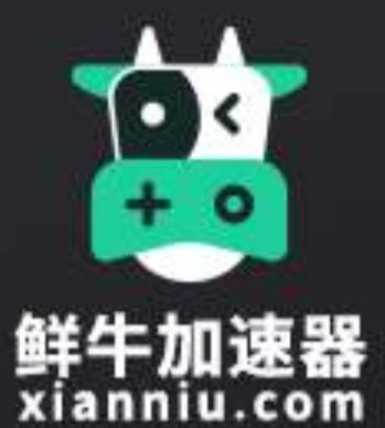 鲜牛加速器频频出错，为何还有网友坚持使用？