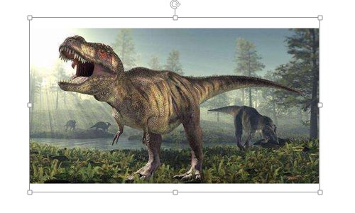 EXCEL插入图片后可不可以固定在单元格内