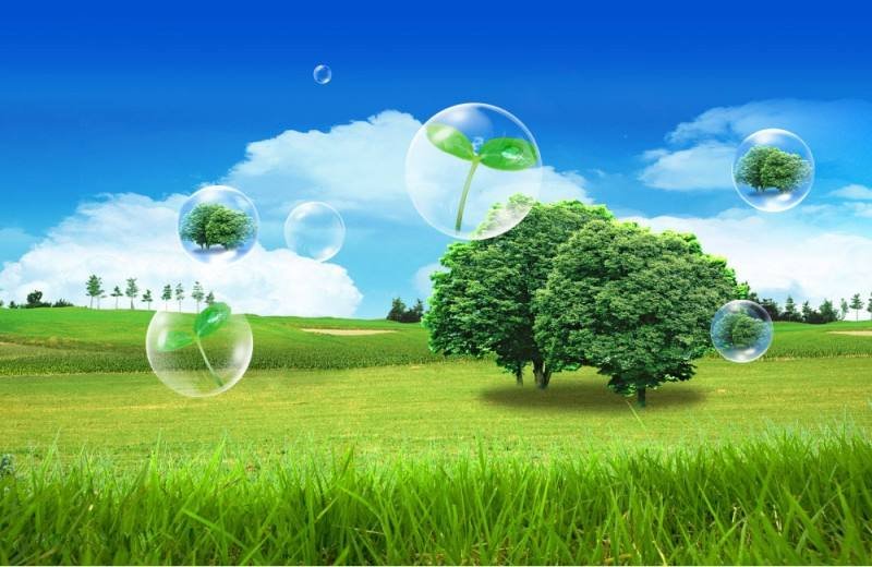 环境工程专业都要学哪些专业课啊？