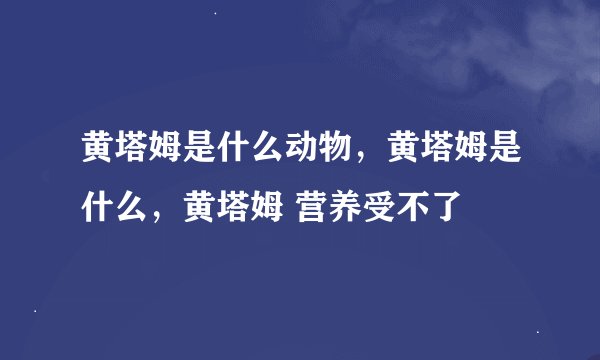 黄塔姆是什么动物，黄塔姆是什么，黄塔姆 营养受不了