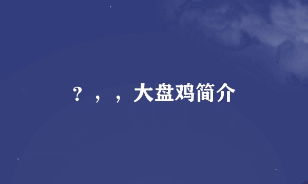 ？，，大盘鸡简介