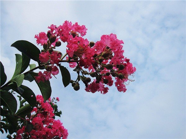 有什么好看言情小说推荐？