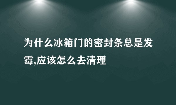 为什么冰箱门的密封条总是发霉,应该怎么去清理