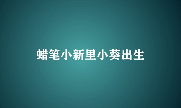 蜡笔小新里小葵出生