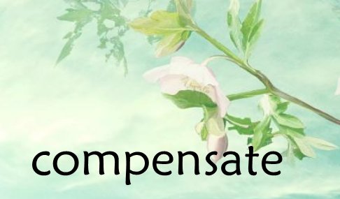 compensate和offset的区别是什么