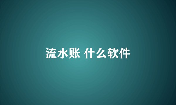 流水账 什么软件