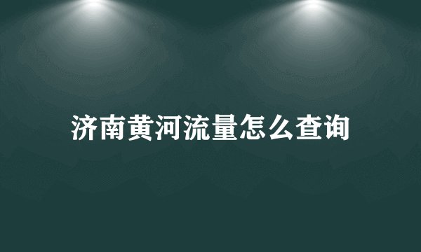 济南黄河流量怎么查询