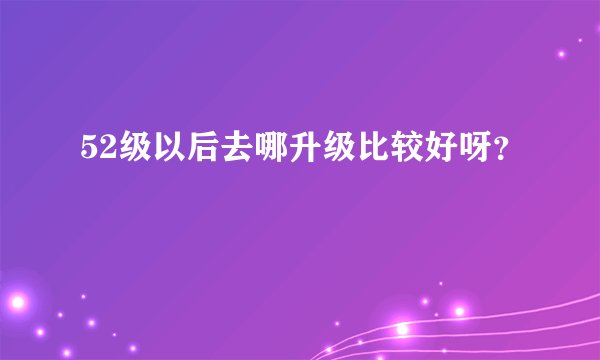 52级以后去哪升级比较好呀？