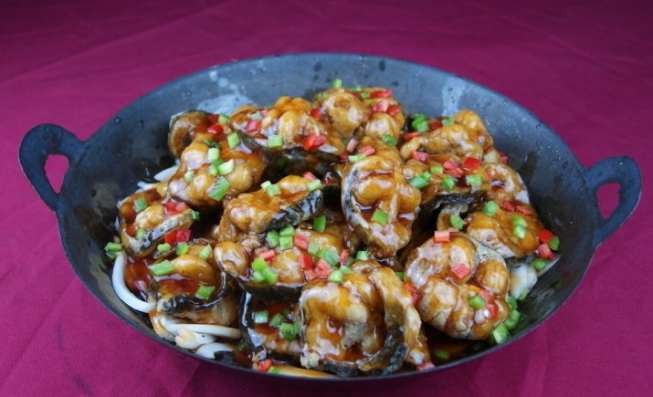 铁锅什么牌子好？求推荐