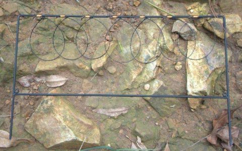 抓竹鸡布套阵型图片