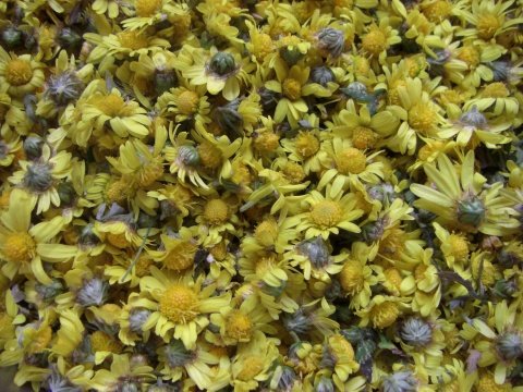 巧茶的药用价值