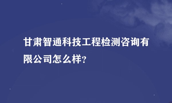 甘肃智通科技工程检测咨询有限公司怎么样？